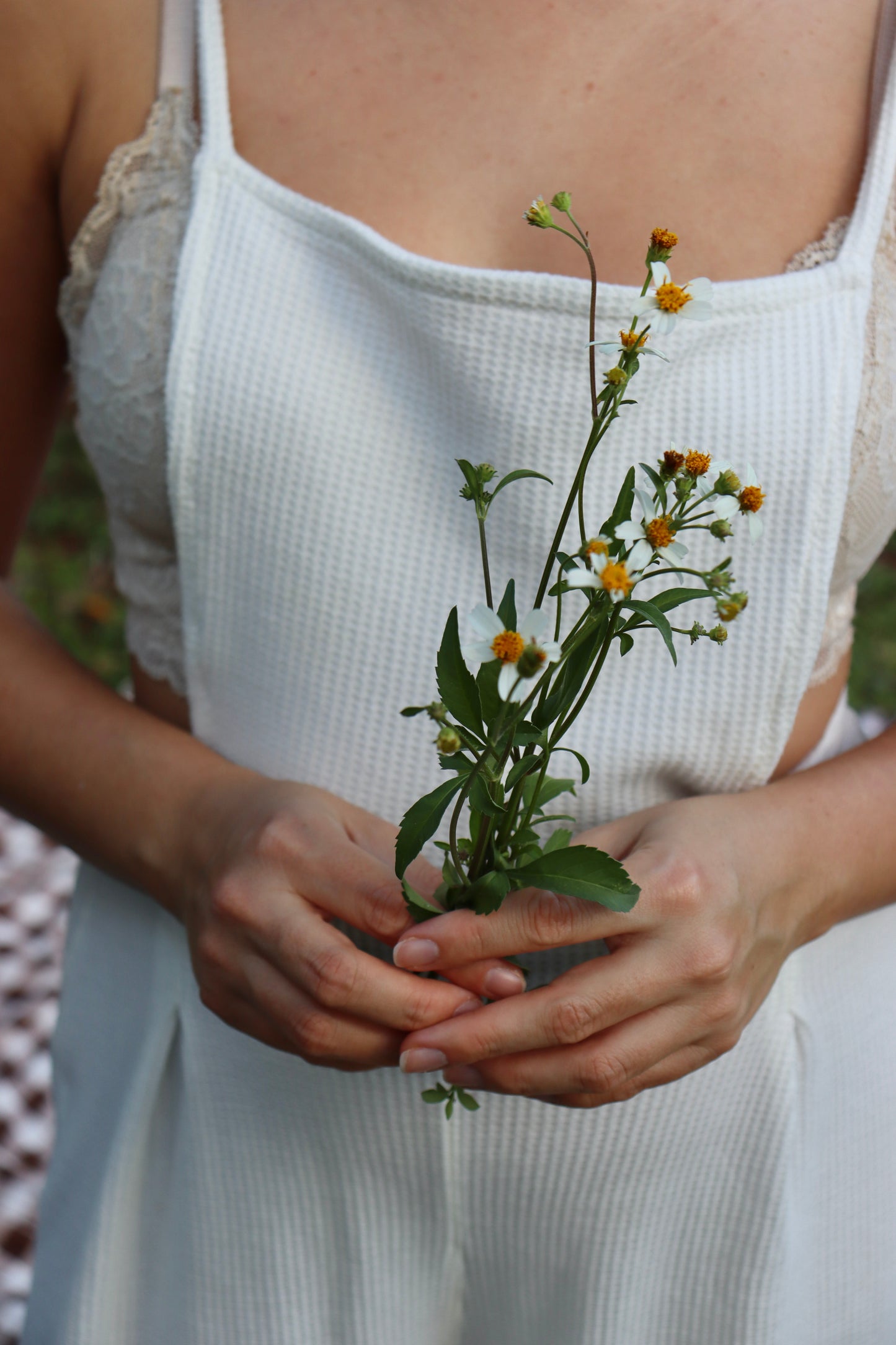 Wildflower hueso