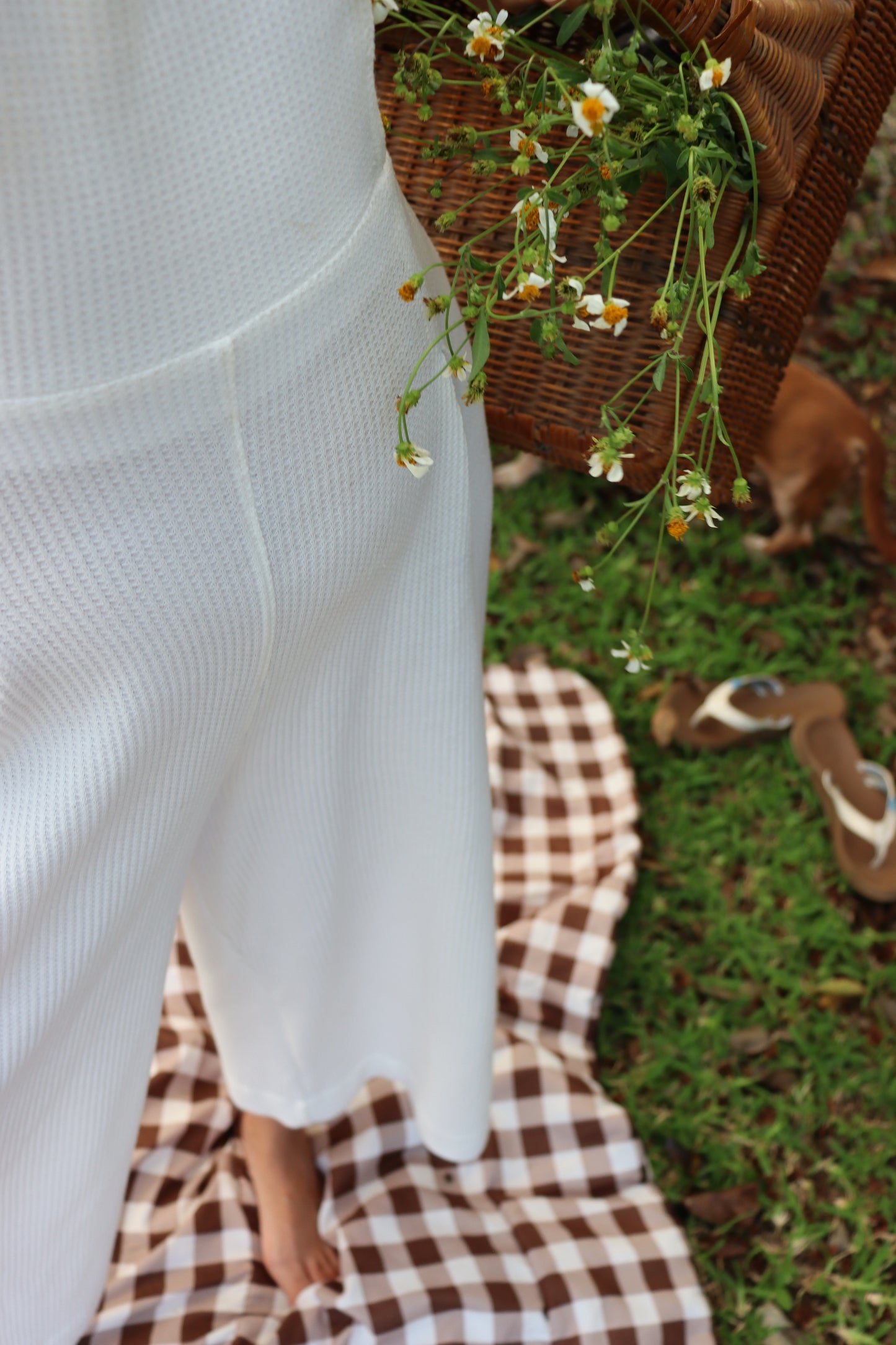 Wildflower hueso